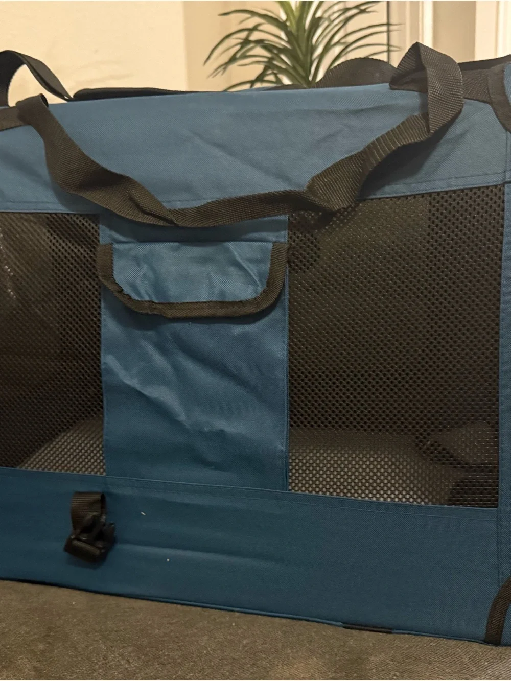 Blue Soft-Sided Small Pet Carrier